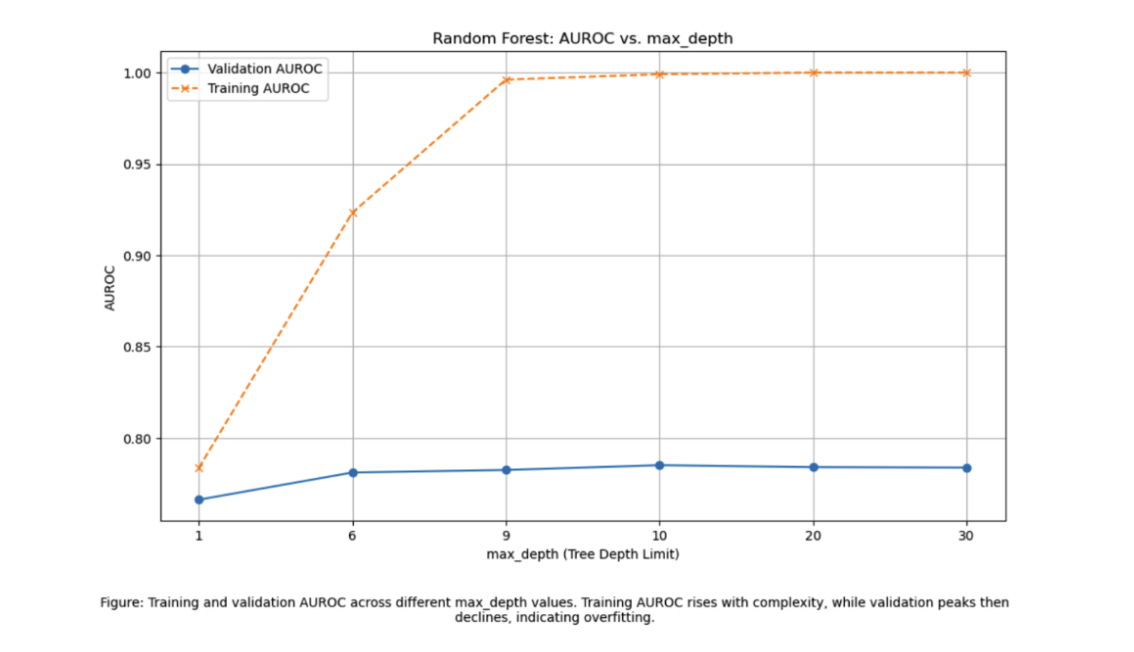 Random Forest Performance